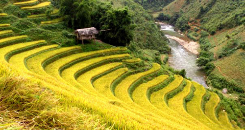 Vietnam tries to seduce travelers to northern terraced fields