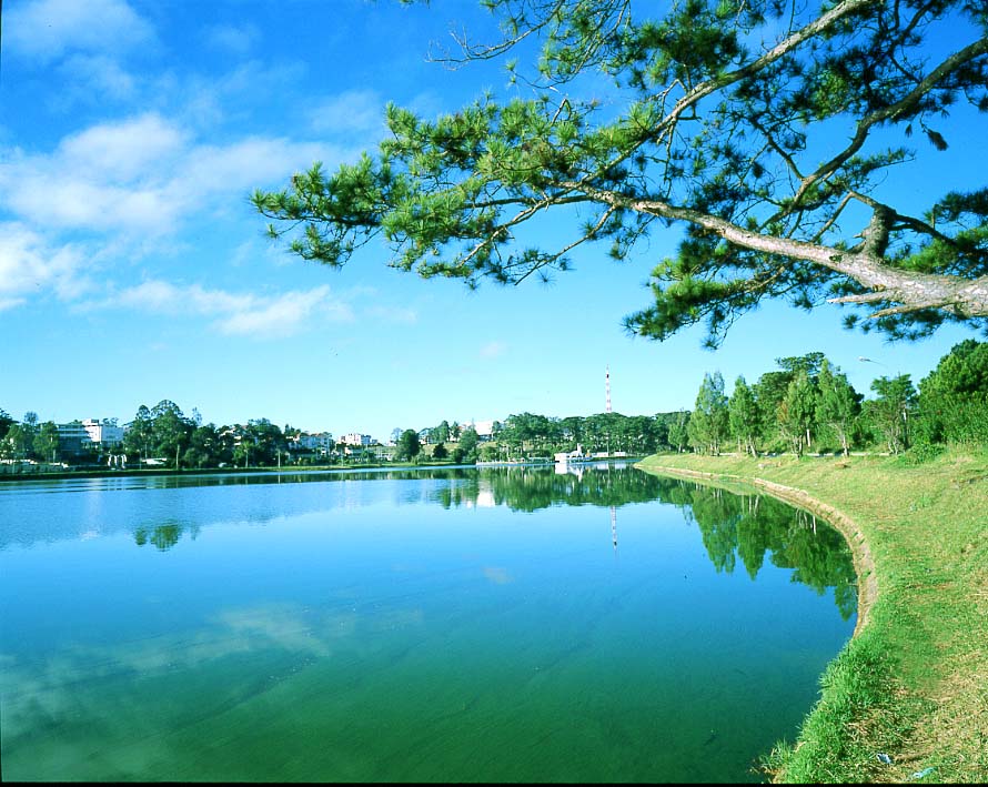 Travel to Romantic and Flower City of Dalat