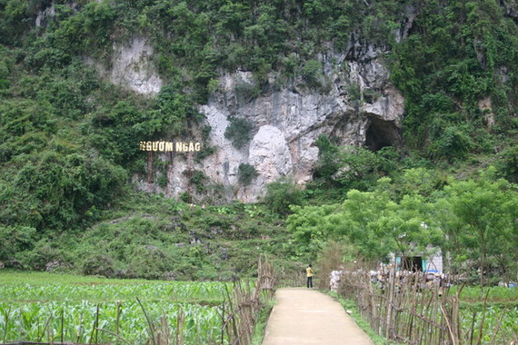 Nguom Ngao Cave – A Must-See Natural Wonder