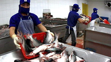 US becomes largest importer of Vietnamese tra fish