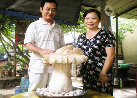 Giant mushroom discovered in Binh Duong