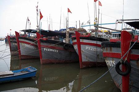 Chinese fishing boats violate Vietnam waters, gov”t mulls patrol boats