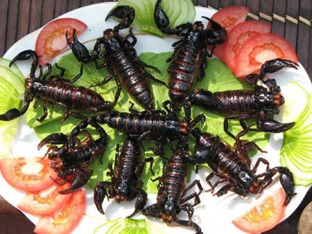 Insect food in Hanoi