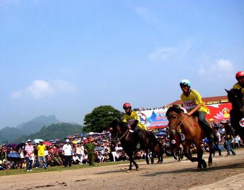 Bac Ha horse race 2011