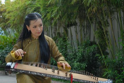 Vietnamese Dan Tranh musical instrument
