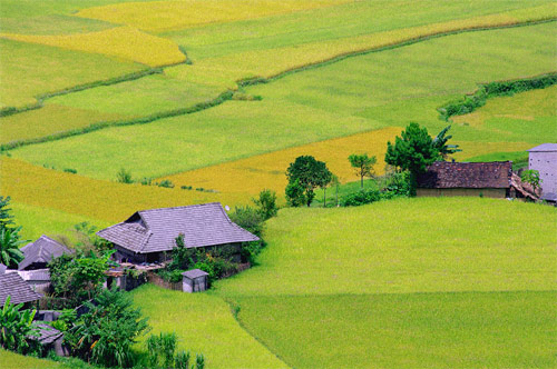 Peaceful Rural Life in Vietnam