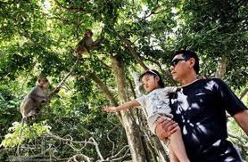 HCM City's Monkey Island offers kids a real experience