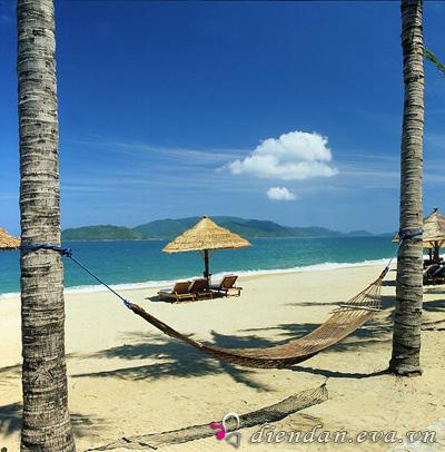 Tra Co beach, an ideal destination on approaching Vietnam