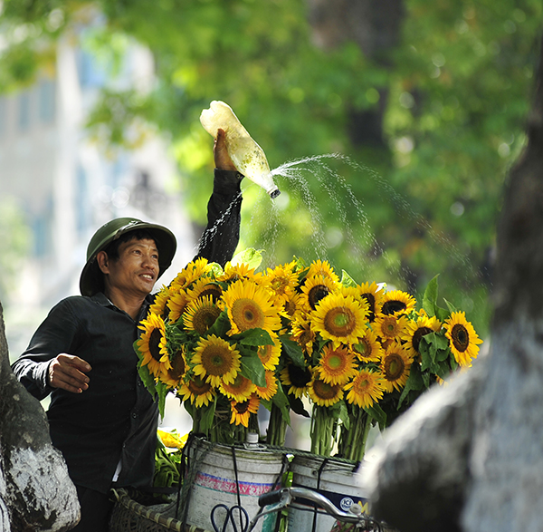 Autumn in Hanoi