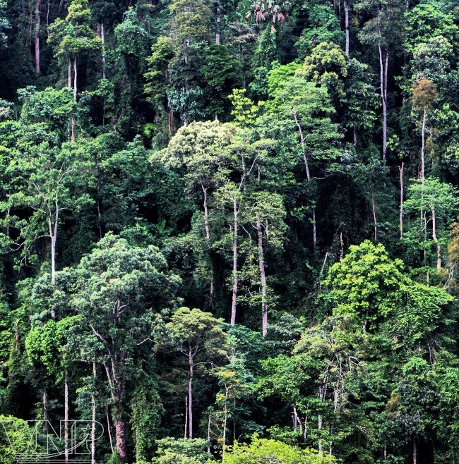 Pu Luong Natural Reserve in Thanh Hoa