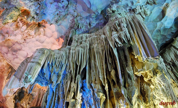 Top 5 of the most beautiful and mysterious caves in Vietnam. 