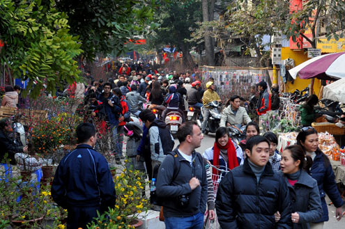 Hanoi holds 65 flower markets for Tet
