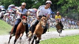 The unique Bac Ha plateau horse race