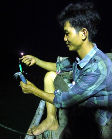 Squid fishing season in Tra Co, Quang Ninh