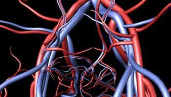 U.S. researchers link antidepressants with thicker arteries
