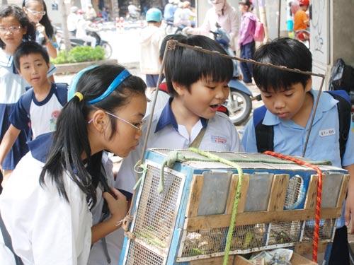 With no place to play, children go to summer classes