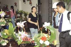 Valentine”s Day offers bouquet of options