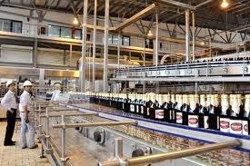 Brewers add fizz to beer market