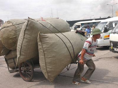 HCM City surveys poverty