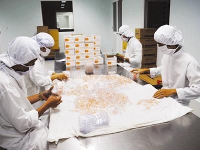 Ministries determined to control sale prices of import products