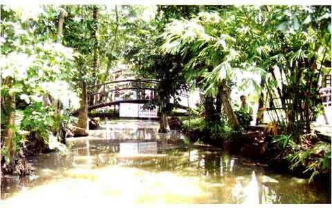 Manpower in tourism industry: deficient in quantity, weak in quality