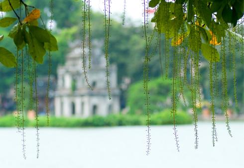 Hanoi’s beauty in the autumn