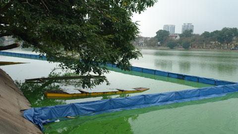 Ten agencies involved in saving legendary turtle