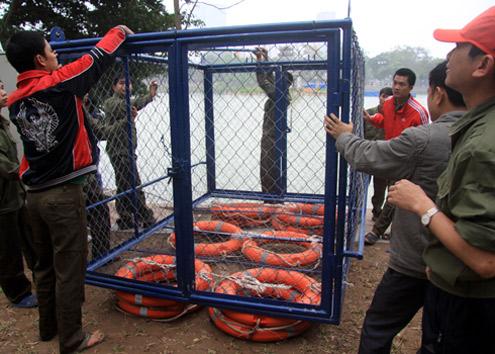 Hoan Kiem turtle fished out for treatment