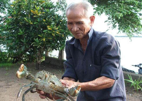 Giant crab netted in Phu Yen