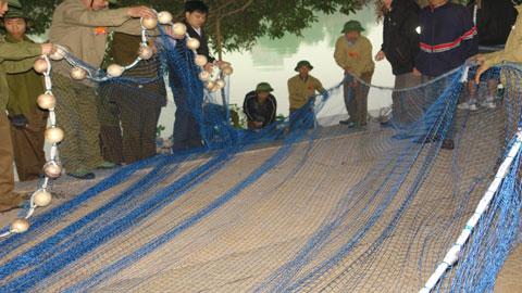 Legendary turtle may be treated for two years