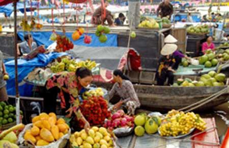 Ten million tourists visit Mekong River Delta