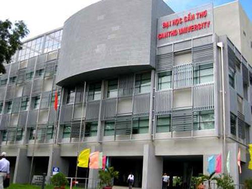 Is the workforce in the Mekong Delta deficient or redundant?