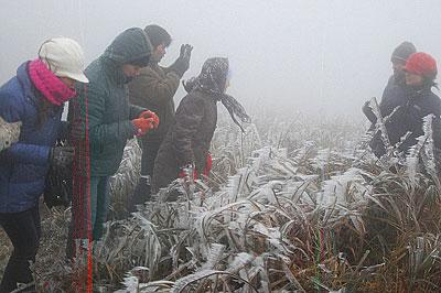 Icy weather affects children