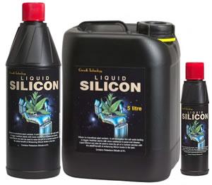 Young man dies from injecting silicon to his buttocks