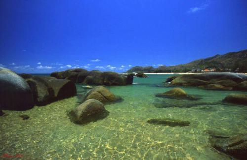 Promotion to give free visa to tourists on package tours
