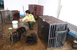 Cambodia joins talks on wildlife trade battle