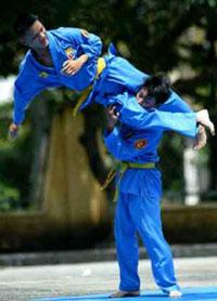 MOET&rsquo;s decision sparks a war in martial arts circles