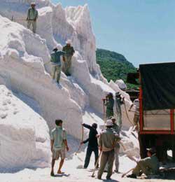 Salt park wreaks havoc on land