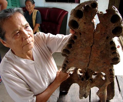 Can Tho: Colossal crocodile jawbone fished out from river