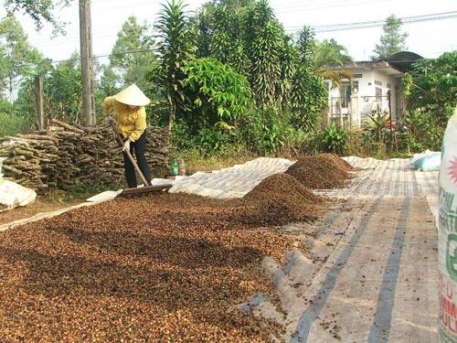 Commercial banks target rural areas