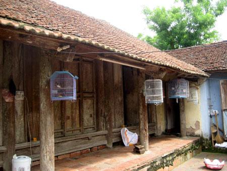Pride, attachment preserves old houses in Hanoi hamlet 