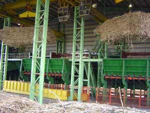 Sugar refinery found polluting environment