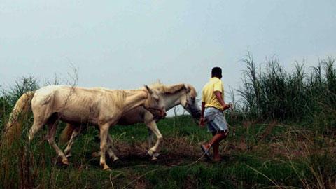The strangest services in Vietnam – part 2