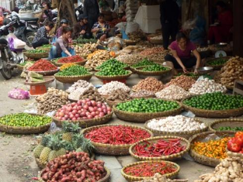 Lawmakers emphasize market-oriented policies