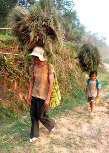 SOS: students give up school to earn money