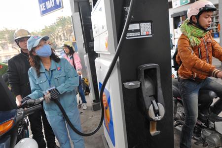 Biofuels may become compulsory in Vietnam