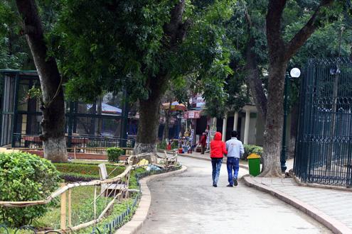 Wild animals stoop in chilly wind at Hanoi Zoo