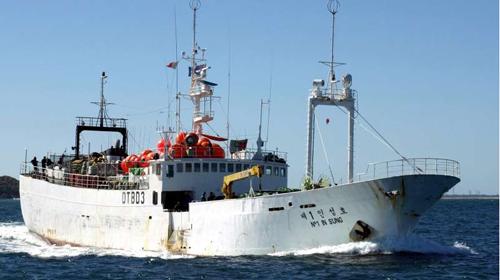 Three Vietnamese sailors may be dead in Antarctica sunken ship