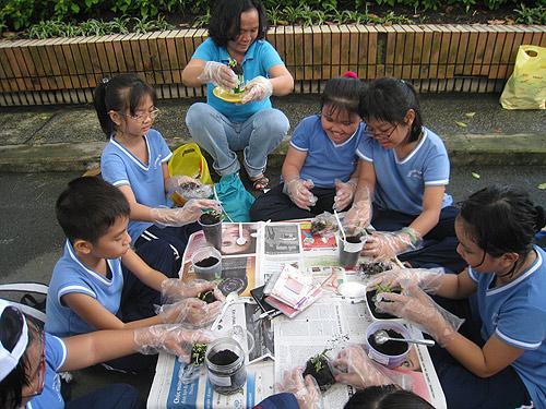 Primary school offers attractive extracurricular lessons to students