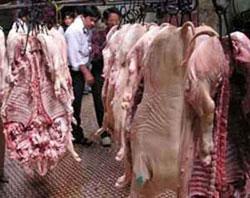 Crackdown planned on slaughter houses